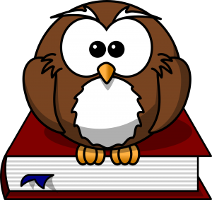 owl-47526