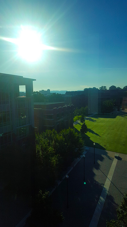 View from Processing and Digitization Lab in UTC Special Collections.
