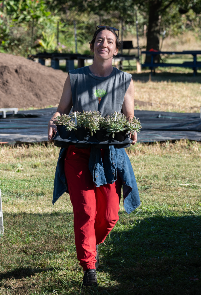 Walking with plant seedlings