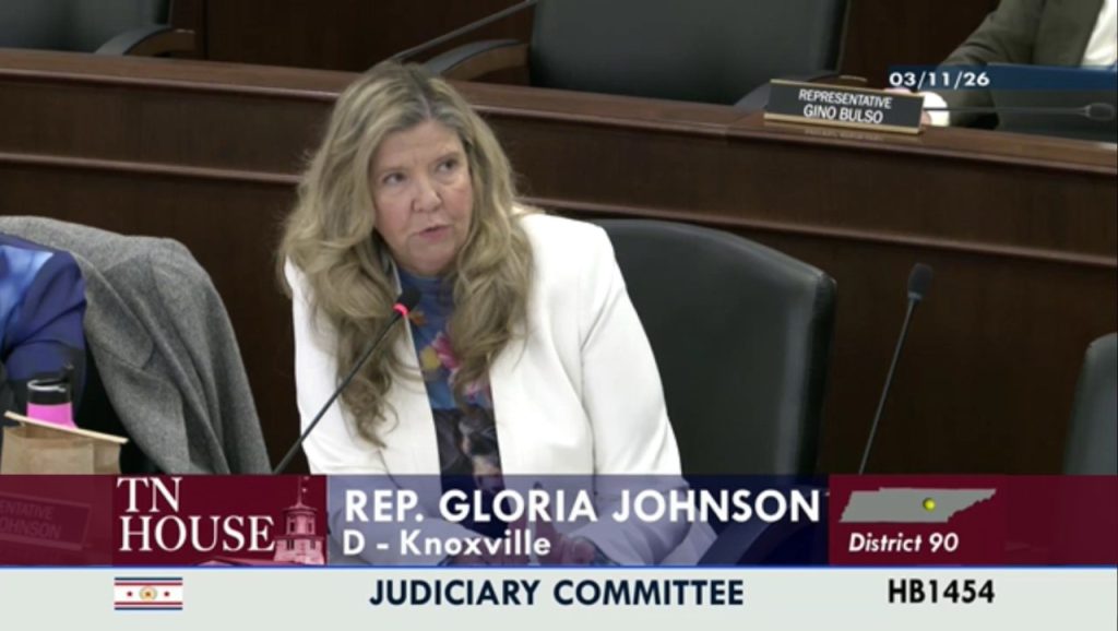 State Representative Gloria Johnson a Democrat from Knoxville asks questions on Wednesday March 11 about a bill that would include child rape as a death penalty crime.