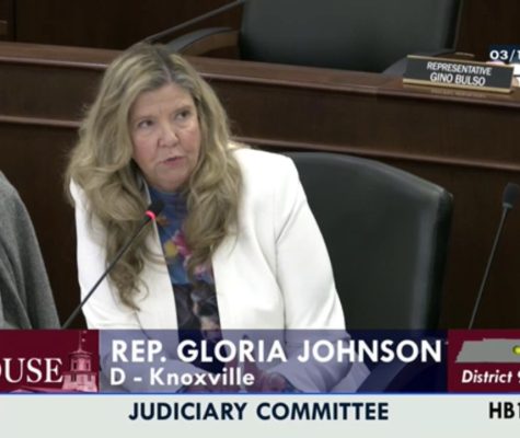 State Representative Gloria Johnson a Democrat from Knoxville asks questions on Wednesday March 11 about a bill that would include child rape as a death penalty crime.