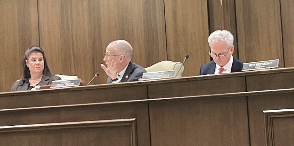 From left to right: Senator Dawn White, Senator Brent Taylor and Senator John Stevens at a Senate Judiciary committee meeting on Mon. March 9, 2026. By Brandon Denley.  