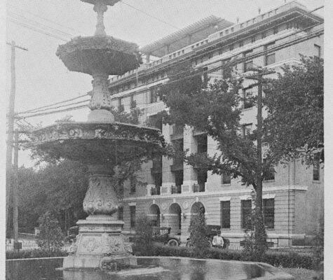 Two alligators on the lawn in front of Fireman's Memorial Fountain in Chattanooga, Tennessee.