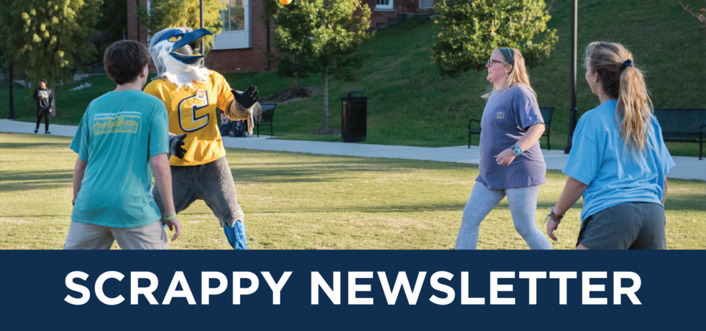 Scrappy enjoying the sun on Chamberlain field with friends