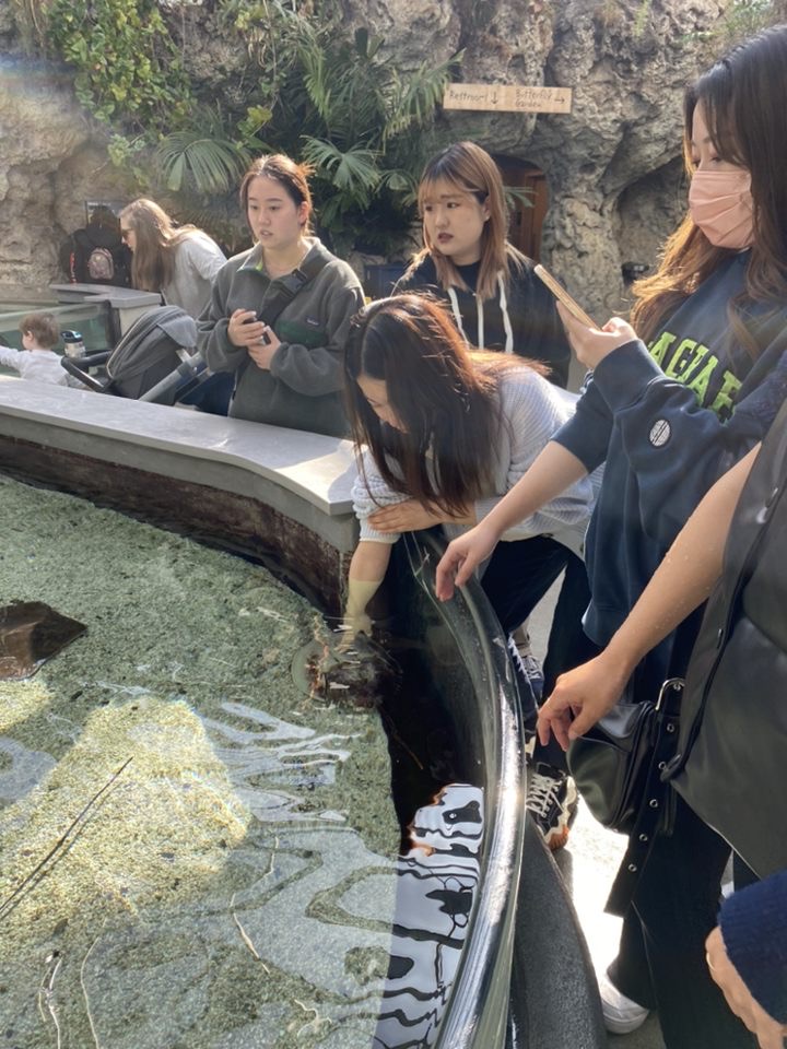 J.F. Oberlin students touch rays at the Tennessee Aquarium.
