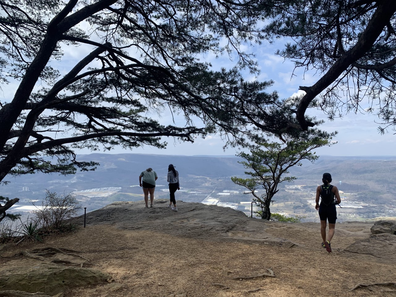 Students standing on the edge of Lookout Mountain looking out towards the valley.