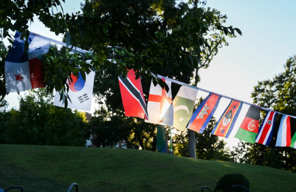 Flags celebrating International Education Week