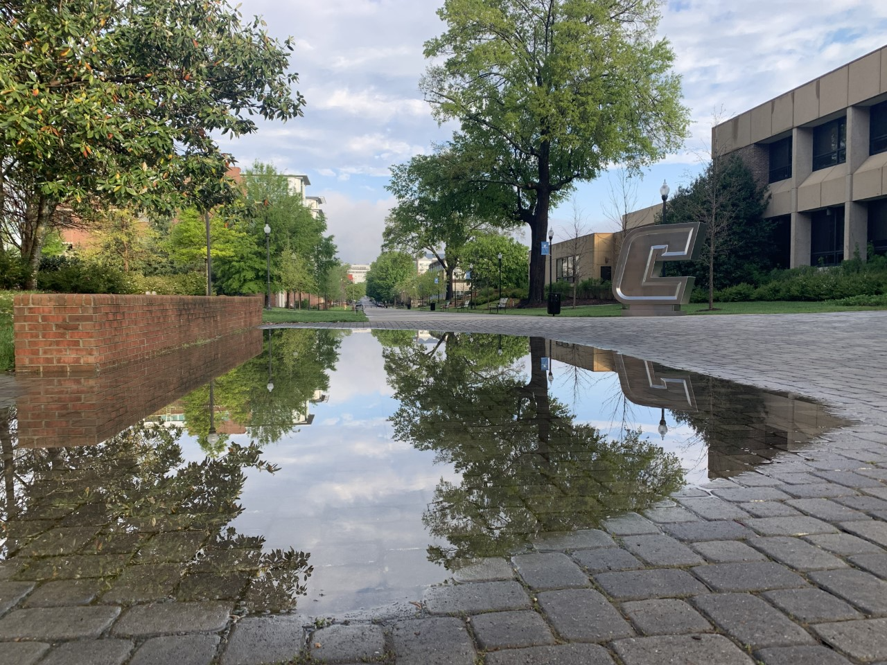 A reflection in a puddle on campus at UTC.