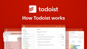 Todoist App