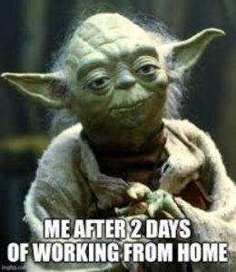 Yoda work from home meme