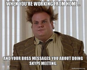 Skype Meeting Work from Home Meme