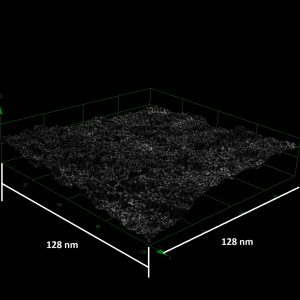 Lipid Bilayer Membrane deposited on silicon structure