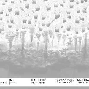 Porous Silicon structure