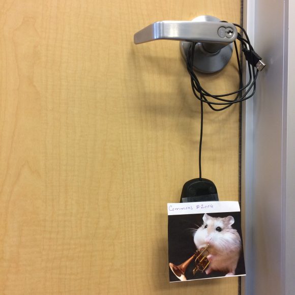 mouse