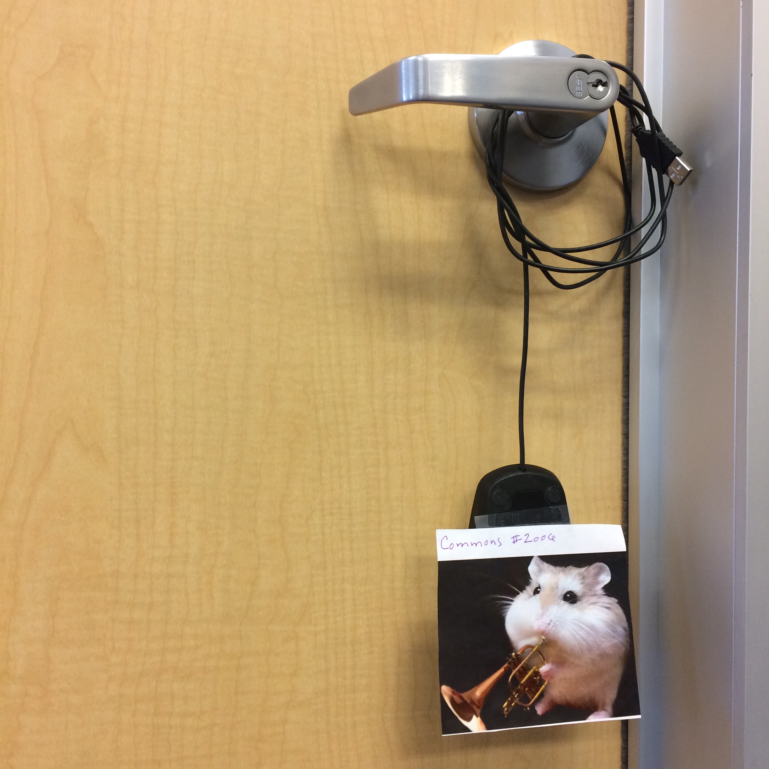 mouse