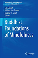 buddhist foundations of mindfulness book cover