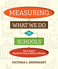 measuring what we do in schools book cover
