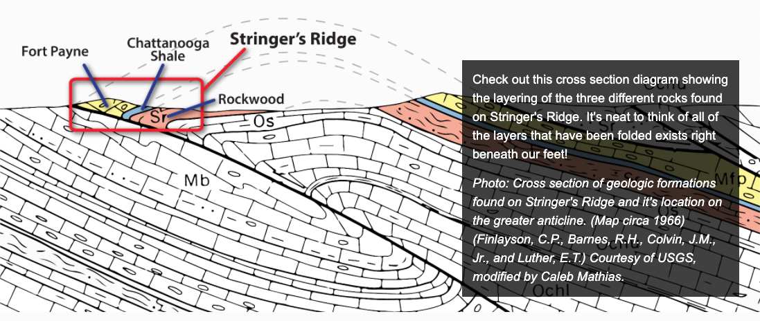 Cross section diagram showing the layering of the three different rocks found on Stringer's Ridge.