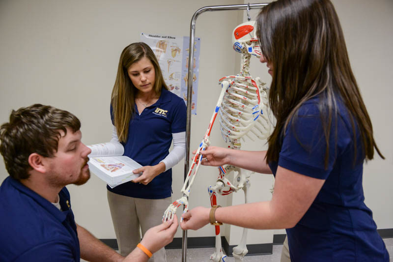 Occupational Therapy Programs In Tn