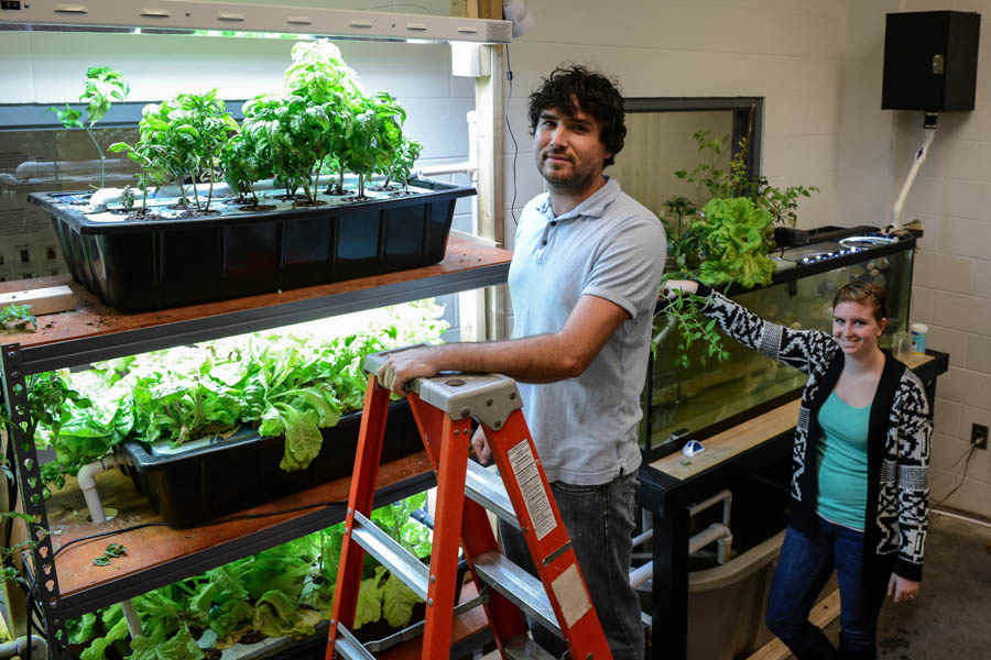 engineering students grow edible plants, fish, in