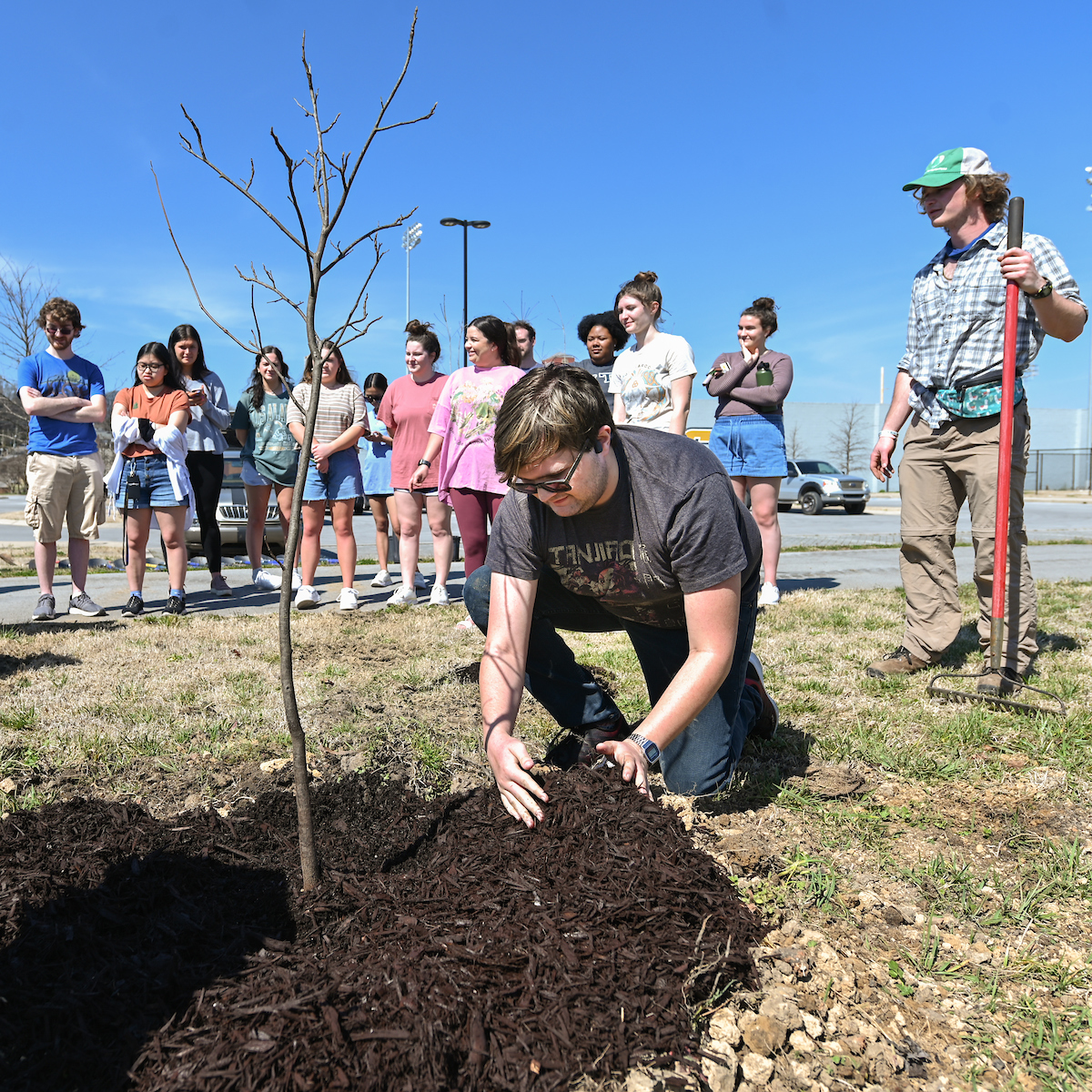 Answering Arbor Day's call for trees - UTC News