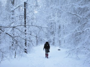 winter stroll