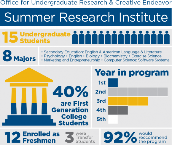 Summer Research Institute Infographic